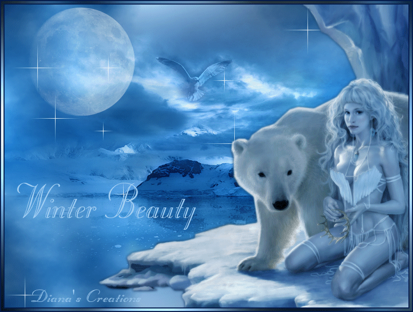 winterbeauty